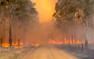 Hubo 17 focos ígneos en Corrientes y prorrogan emergencia agropecuaria