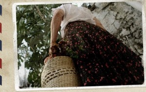 Agenda Cultural del 5 al 7 de mayo