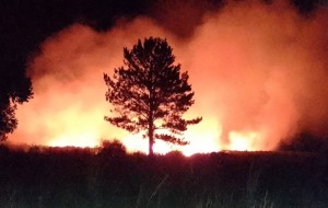 Activan alerta por peligro de incendios forestales en Corrientes