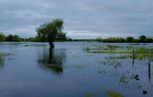 Siete familias evacuadas por el desborde del río Santa Lucía