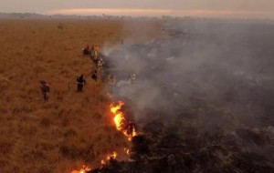Cuatro localidades correntinas en riesgo extremo de incendios