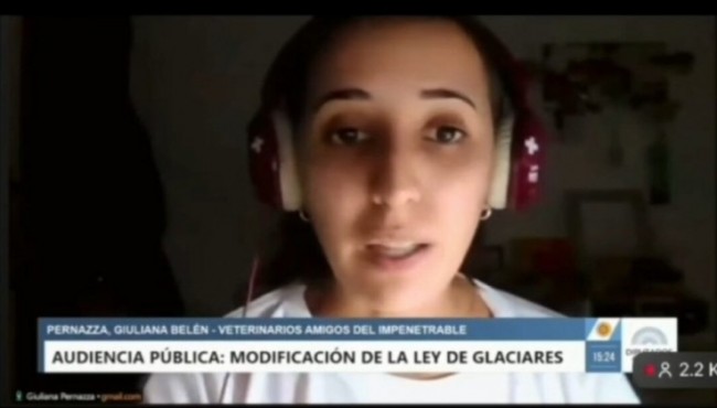 Desde la UNNE, una voz joven cuestionó la reforma de la ley de glaciares