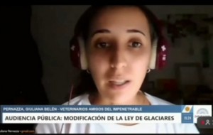 Desde la UNNE, una voz joven cuestionó la reforma de la ley de glaciares