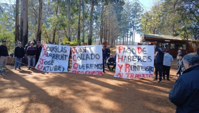 Denuncian a Forestal Tapebicuá por administración fraudulenta